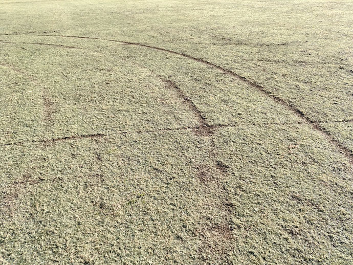 笠松町のコンテナに落書きと芝生グラウンドに車のタイヤ痕
